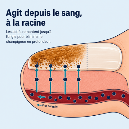 Anti-Fongix | HUILE D'ORIGAN & DE NIGELLE – ÉLIMINE LA MYCOSE DES ONGLES
