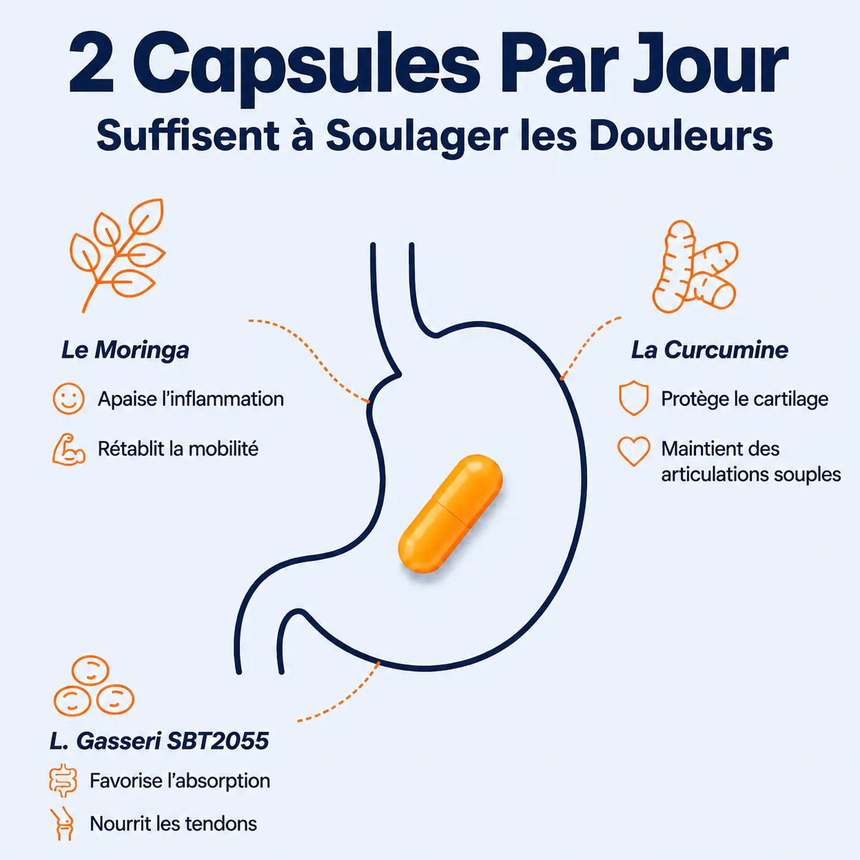 Provital | Le Probiotique Pour Les Articulations Ménopausées