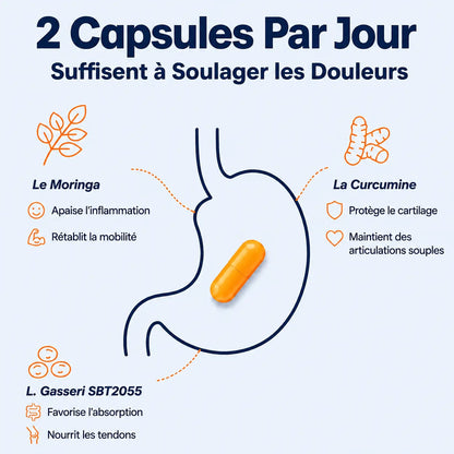 Provital | Le Probiotique Pour Les Articulations Ménopausées