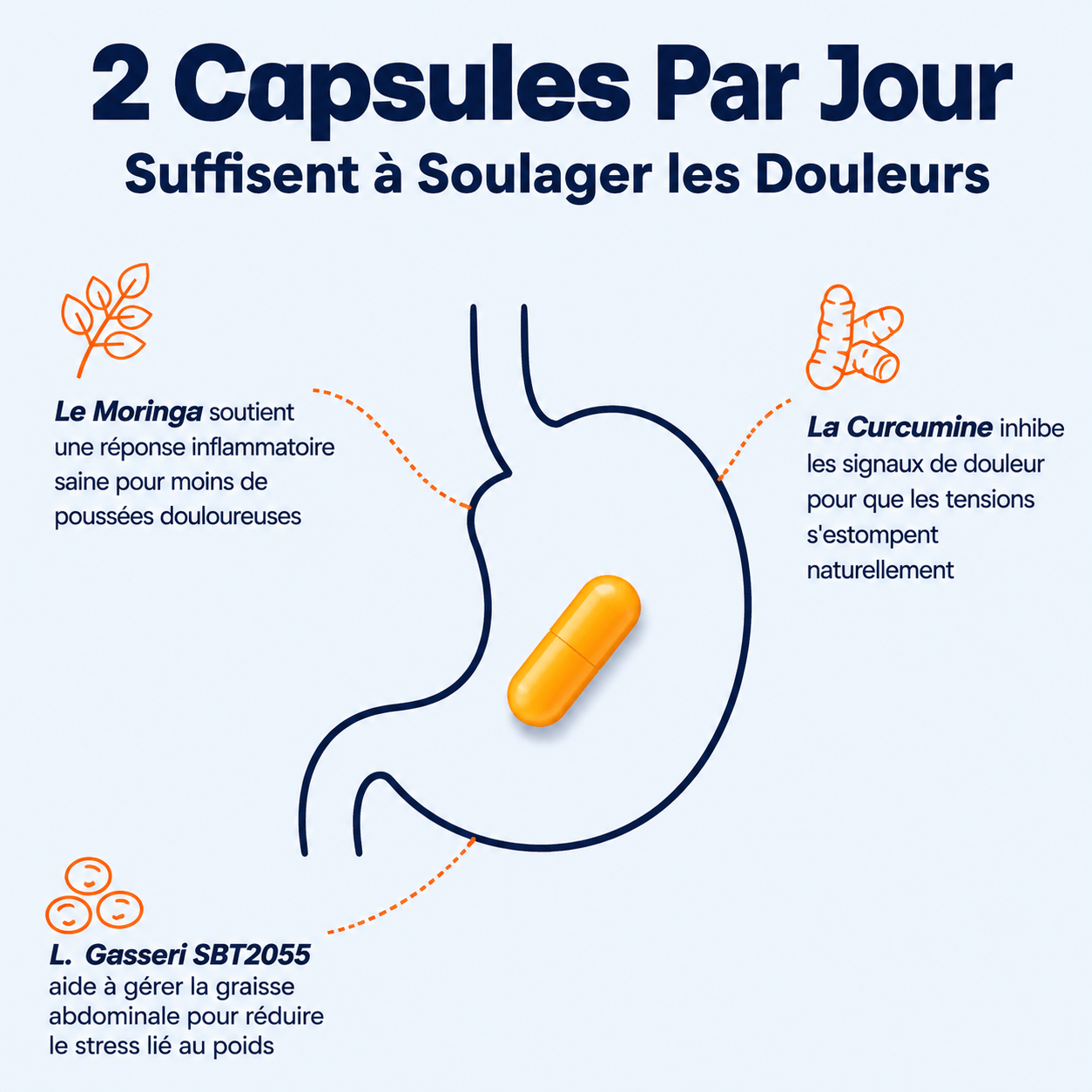 Provital | Le Probiotique Articulaire pour la Ménopause
