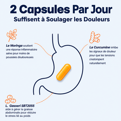 Provital | Le Probiotique Articulaire pour la Ménopause